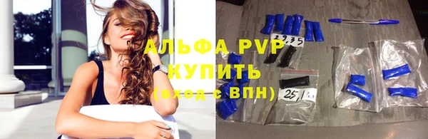 стаф Алзамай