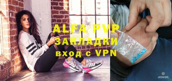 стаф Алзамай