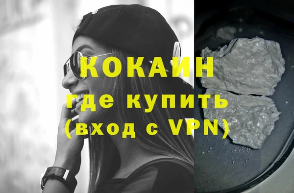 стаф Алзамай